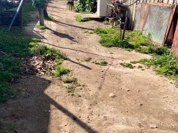 Imagen 11