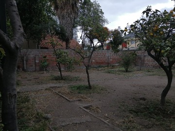 Imagen 21