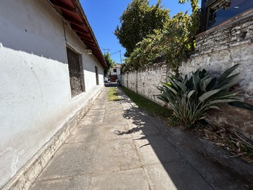 Imagen 5