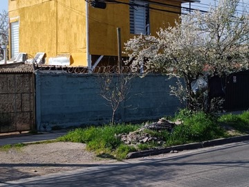 Imagen 4