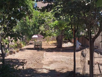 Imagen 7