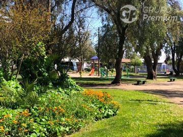Imagen 17