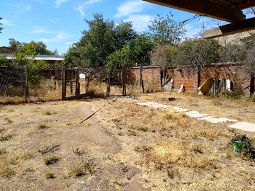 Imagen 11