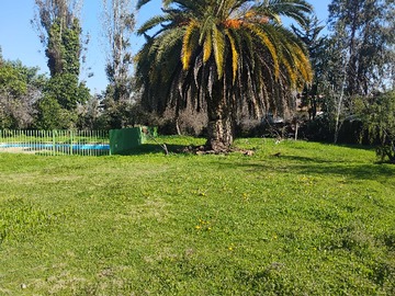 Imagen 11