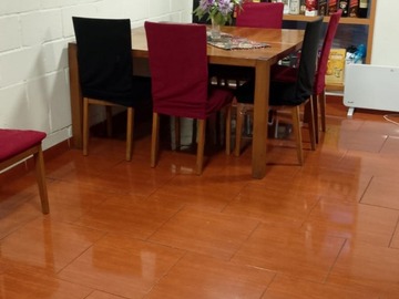 Imagen 11