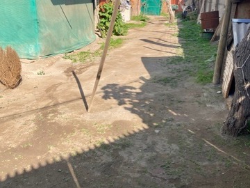 Imagen 5
