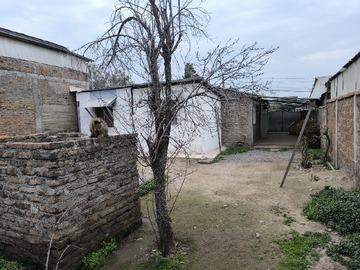 Imagen 13