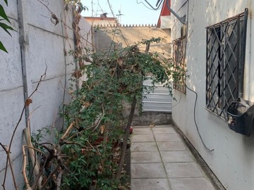 Imagen 13