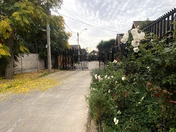 Imagen 20