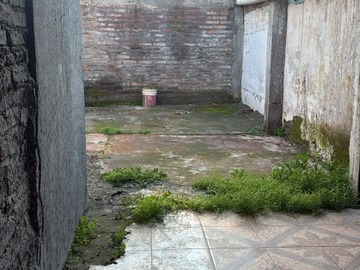 Imagen 11