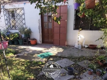 Imagen 6