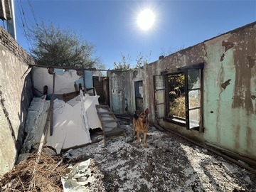 Imagen 7