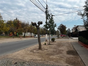 Imagen 10