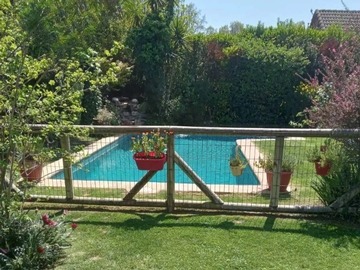 Imagen 6
