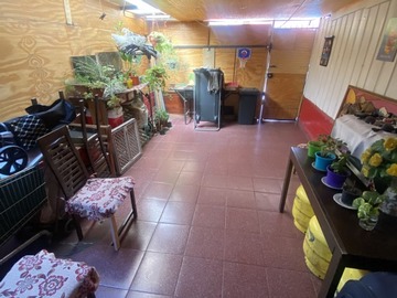 Imagen 10