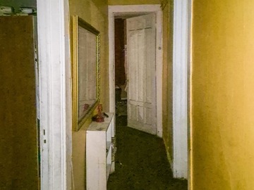 Imagen 13