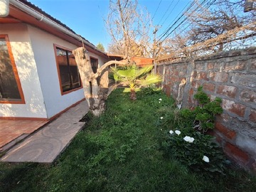Imagen 19