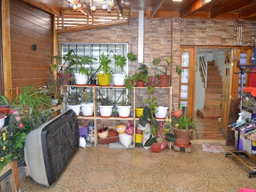 Imagen 16