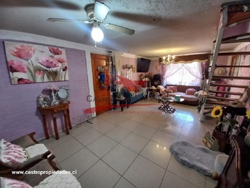 Imagen 5