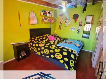 Imagen 6
