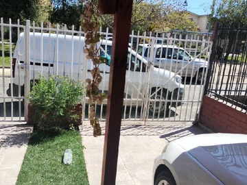 Imagen 21