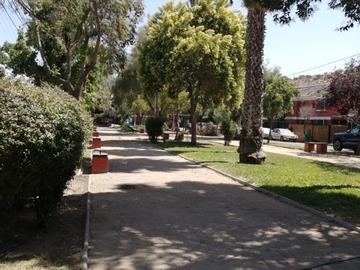 Imagen 24