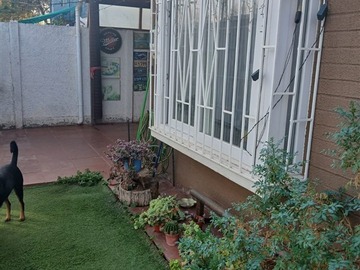 Imagen 21