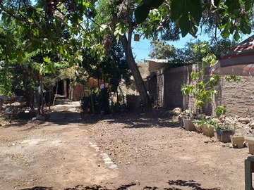 Imagen 8