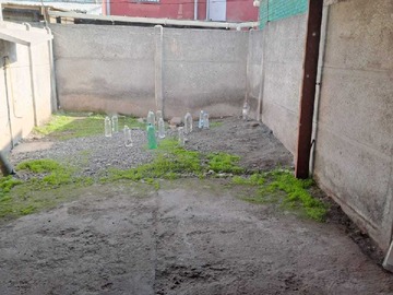 Imagen 7