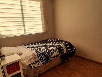 Imagen 5