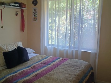 Imagen 9