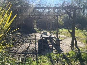 Imagen 8