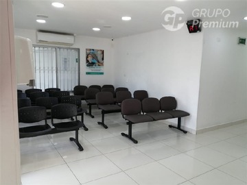 Imagen 5