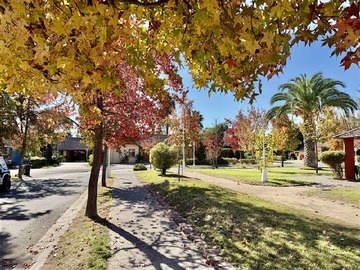 Imagen 28