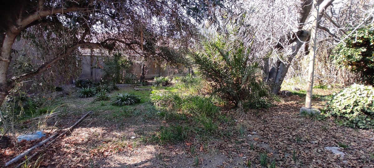 Patio interior