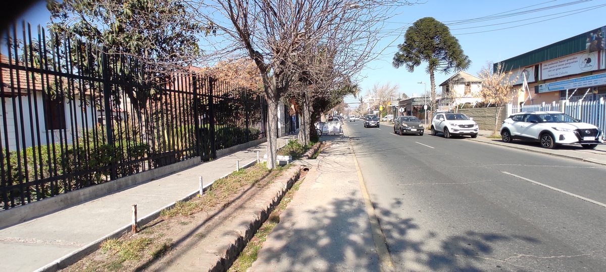 Calle