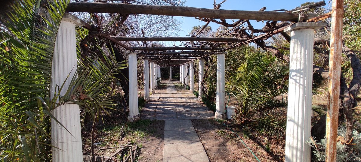 Pergola