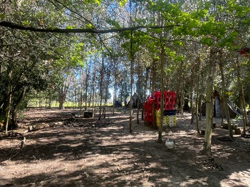 Imagen 13