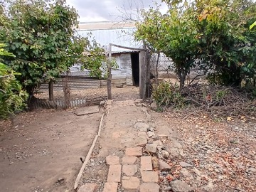Imagen 11