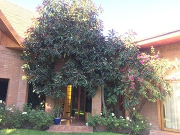 Entrada