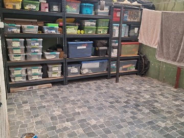 Imagen 18