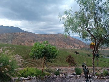 Imagen 11