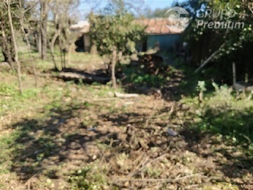 Imagen 11
