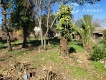 Imagen 23