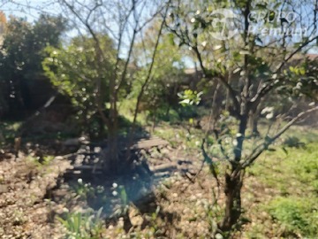Imagen 12