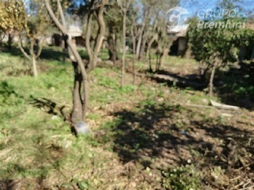Imagen 14