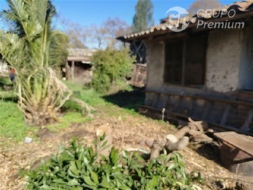 Imagen 8