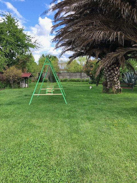 PATIO TRASERO