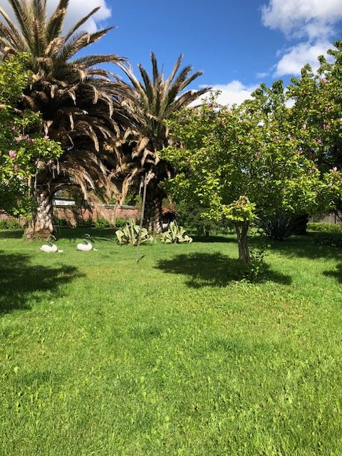 JARDIN PATIO