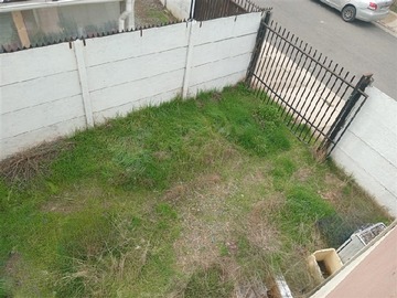 Imagen 11